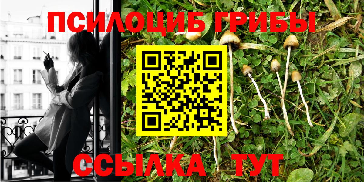 Лосино-Петровский  Галлюциногенные грибы мицелий  Вход с VPN 